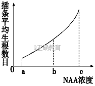 www.xiangpi.com