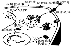 www.xiangpi.com