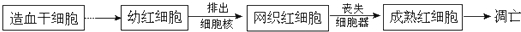 www.xiangpi.com