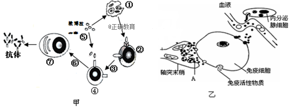 www.xiangpi.com