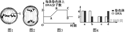 www.xiangpi.com