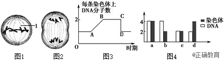 www.xiangpi.com