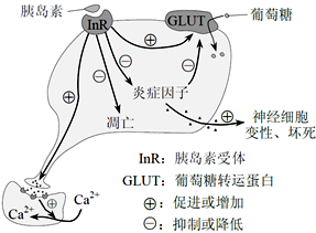 www.xiangpi.com
