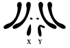www.xiangpi.com