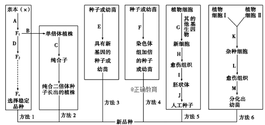 www.xiangpi.com