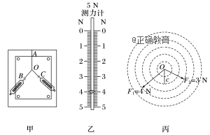www.xiangpi.com