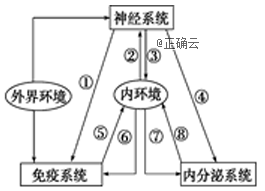www.xiangpi.com