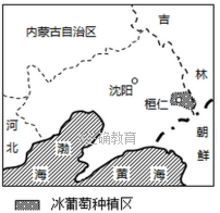 www.xiangpi.com