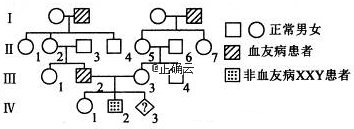 www.xiangpi.com