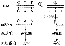 www.xiangpi.com