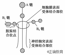 www.xiangpi.com