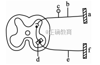 www.xiangpi.com