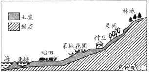 www.xiangpi.com
