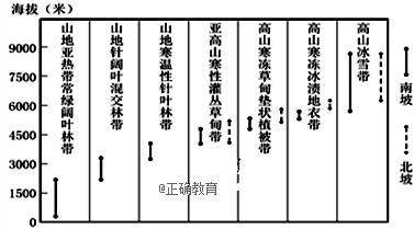 www.xiangpi.com