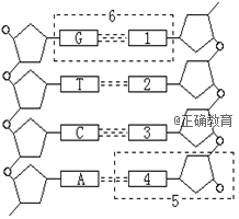 www.xiangpi.com
