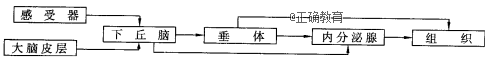 www.xiangpi.com