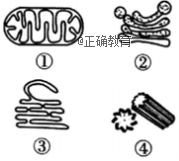 www.xiangpi.com