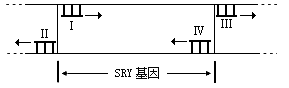 www.xiangpi.com