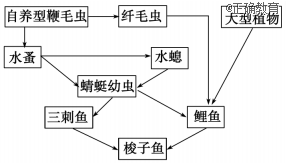 www.xiangpi.com
