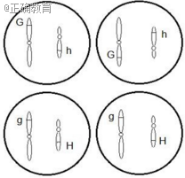www.xiangpi.com