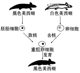 www.xiangpi.com