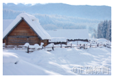 www.xiangpi.com