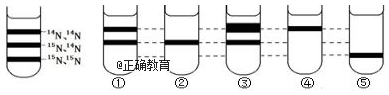 www.xiangpi.com