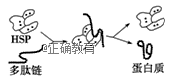 www.xiangpi.com