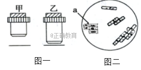 www.xiangpi.com