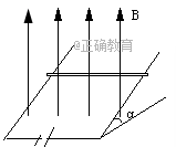 www.xiangpi.com