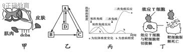 www.xiangpi.com