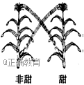www.xiangpi.com