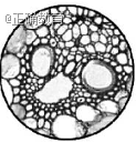 www.xiangpi.com