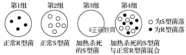 www.xiangpi.com