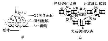 www.xiangpi.com