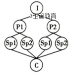 www.xiangpi.com