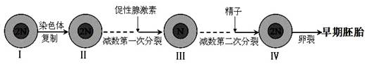 www.xiangpi.com