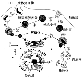 www.xiangpi.com