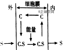 www.xiangpi.com