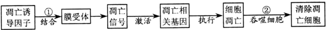www.xiangpi.com