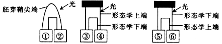 www.xiangpi.com