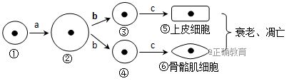 www.xiangpi.com