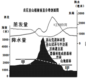 www.xiangpi.com