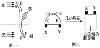 www.xiangpi.com