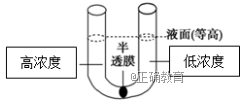 www.xiangpi.com