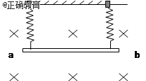 www.xiangpi.com