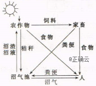 www.xiangpi.com