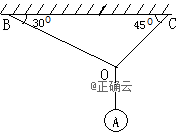 www.xiangpi.com