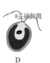 www.xiangpi.com