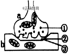 www.xiangpi.com